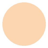 Base Líquida FIX - Vizzela