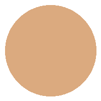 Base Líquida FIX - Vizzela