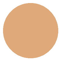 Base Líquida FIX - Vizzela