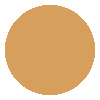 Base Líquida FIX - Vizzela