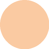 Base Líquida Matte - Vizzela