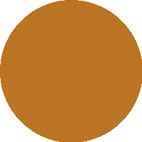 Base Líquida SATIN - Vizzela