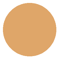 Corretivo Líquido FIX - Vizzela